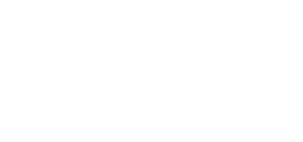 White Connect logo